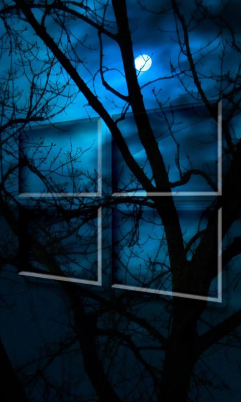 Windows 10 HD Moon Night wallpaper 480x800