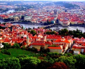 Prague Red Roofs screenshot #1 176x144