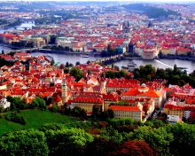 Das Prague Red Roofs Wallpaper 220x176