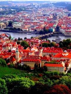 Fondo de pantalla Prague Red Roofs 240x320