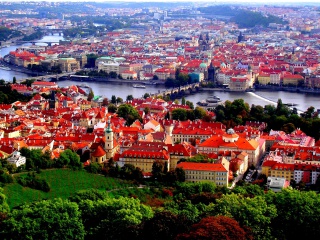 Das Prague Red Roofs Wallpaper 320x240