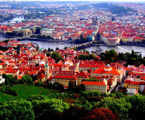Prague Red Roofs wallpaper 480x400