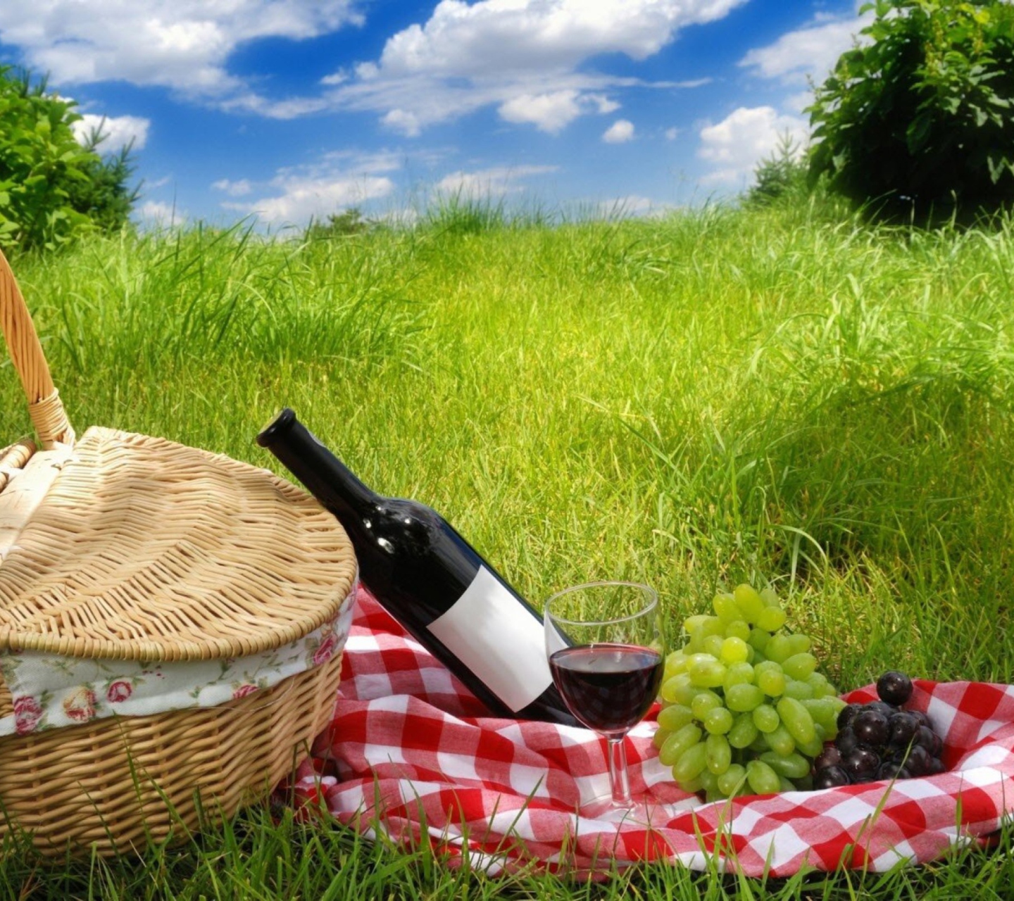 Picnic wallpaper 1440x1280