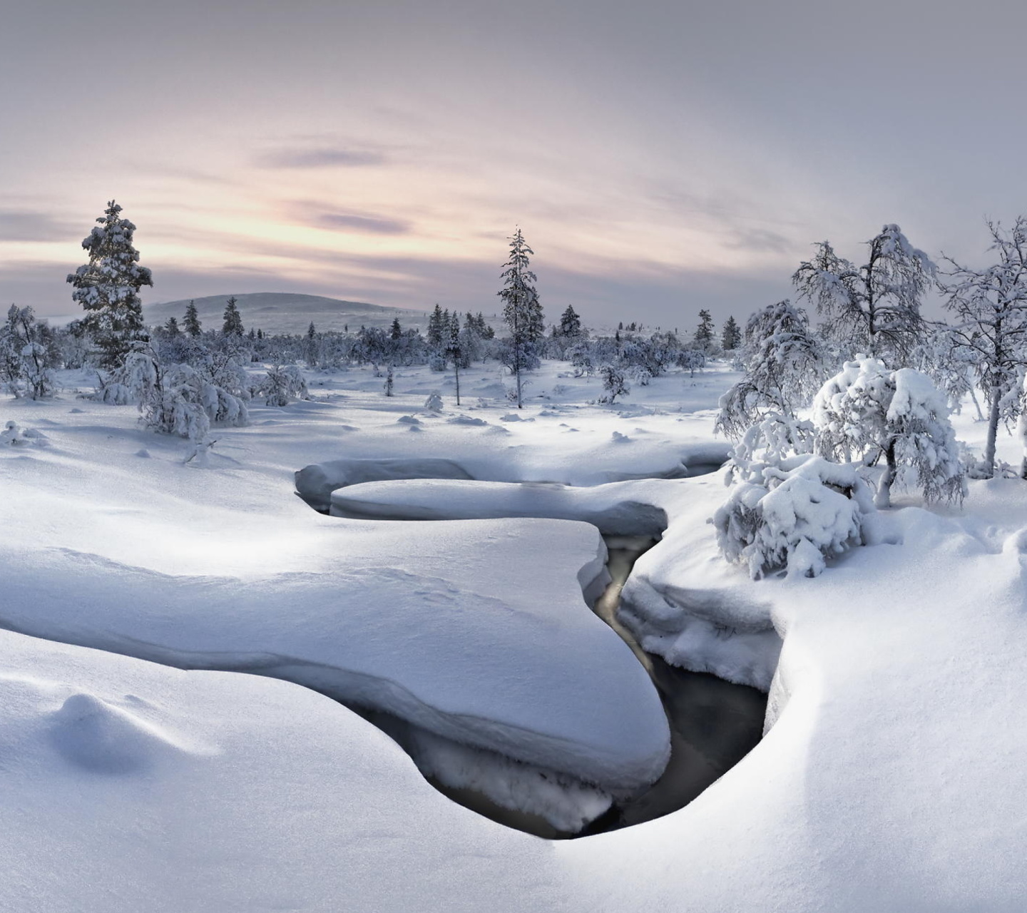 Winter River wallpaper 1440x1280