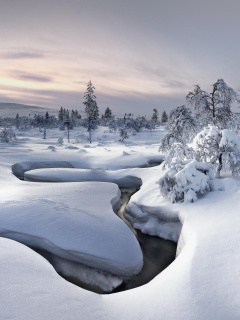 Winter River wallpaper 240x320