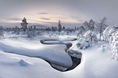 Winter River screenshot #1 480x320