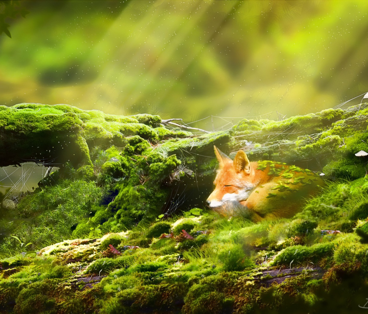 Sleeping Fox screenshot #1 1200x1024