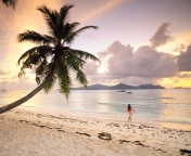 Fondo de pantalla Seychelles Beach 176x144