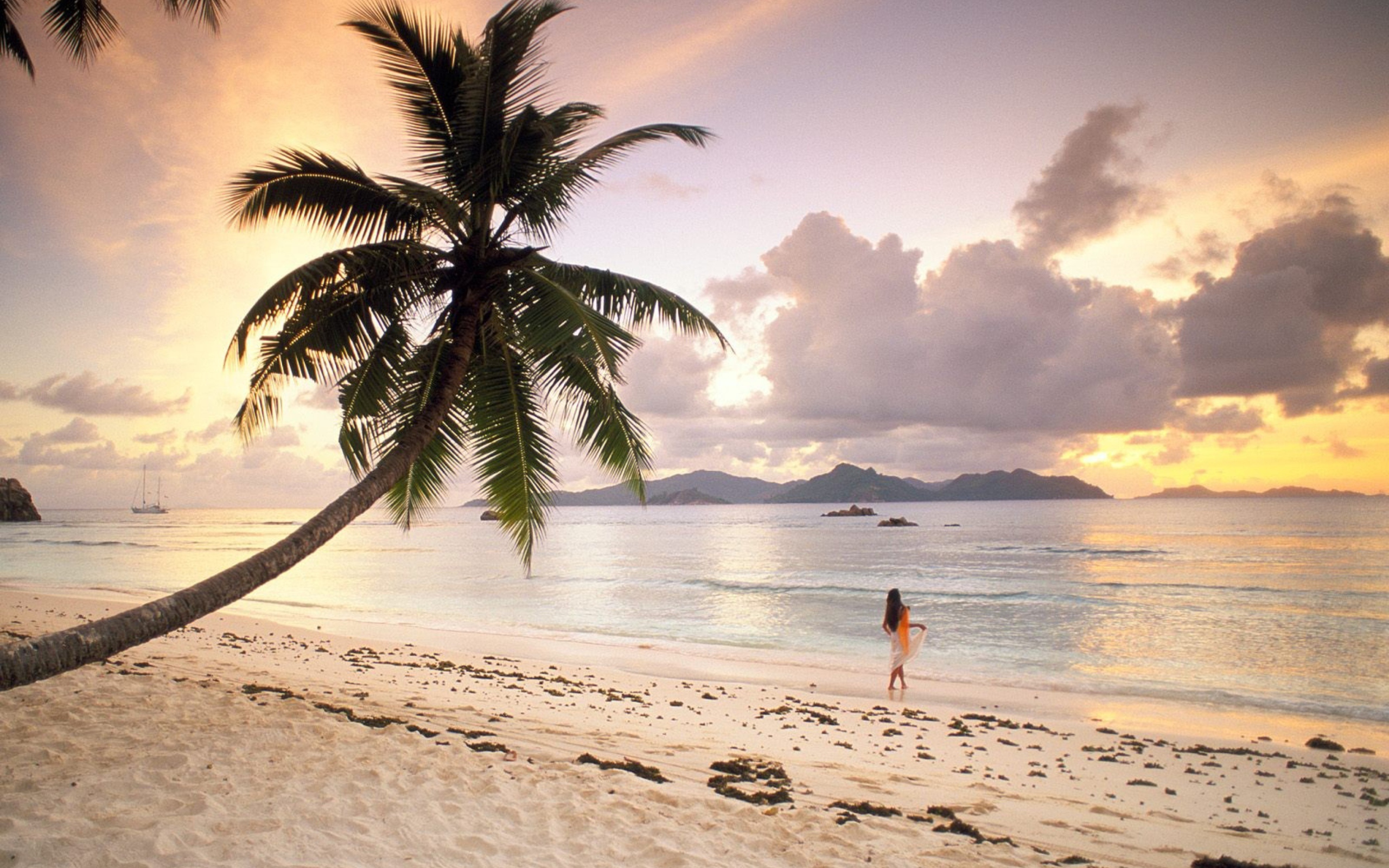 Seychelles Beach wallpaper 2560x1600