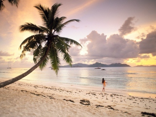 Das Seychelles Beach Wallpaper 320x240