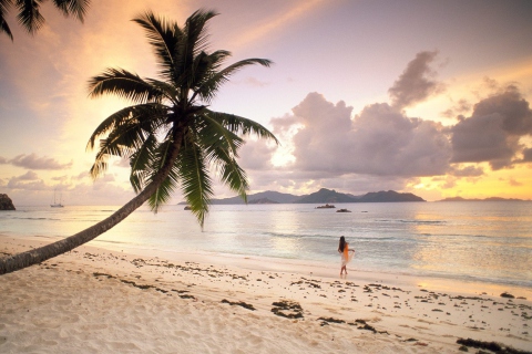 Fondo de pantalla Seychelles Beach 480x320