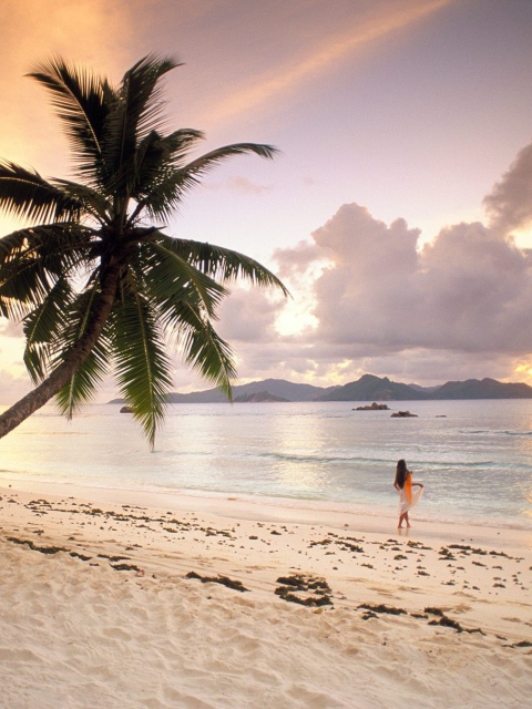 Seychelles Beach screenshot #1 480x640