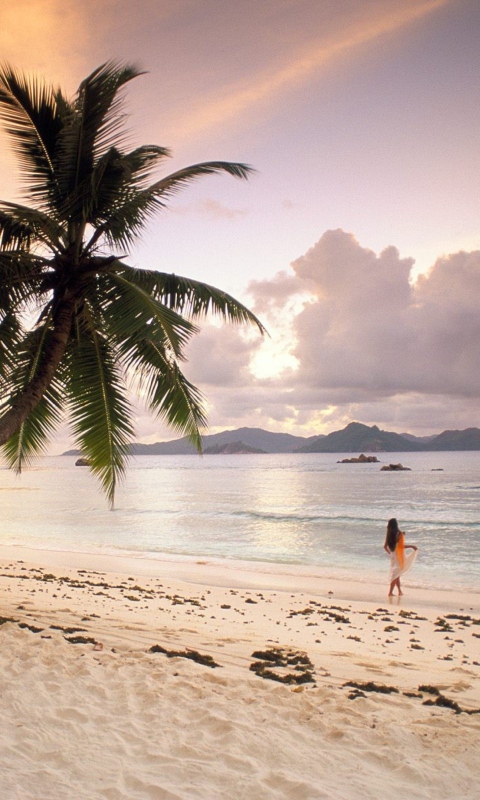 Seychelles Beach screenshot #1 480x800