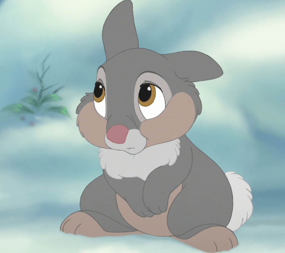 Comical Rabbit Thumper wallpaper 960x854