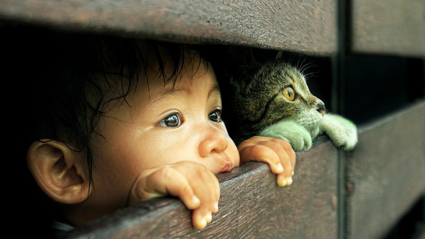 Обои Kid and Cat 1366x768