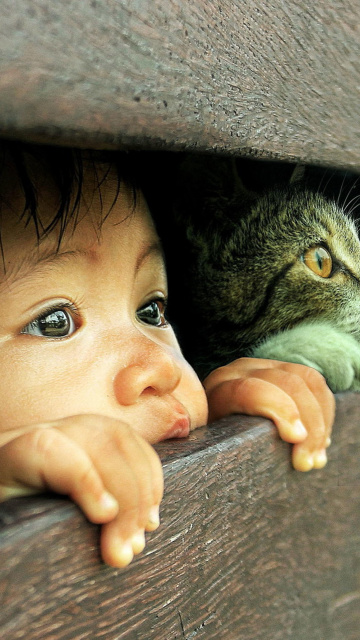 Kid and Cat screenshot #1 360x640