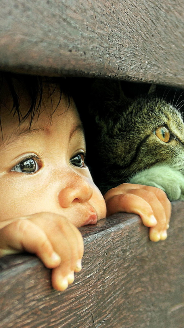 Kid and Cat wallpaper 640x1136