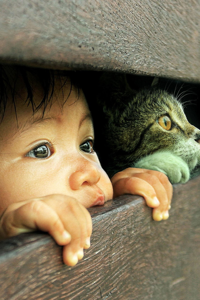 Das Kid and Cat Wallpaper 640x960