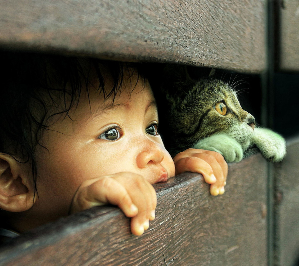 Kid and Cat wallpaper 960x854