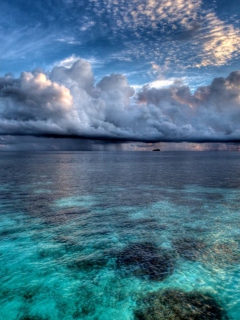 Amazing Caribbean Sea screenshot #1 240x320