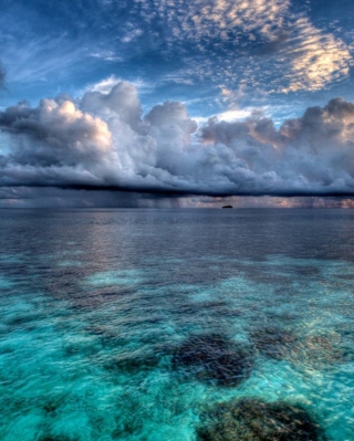 Amazing Caribbean Sea sfondi gratuiti per iPhone 6 Plus