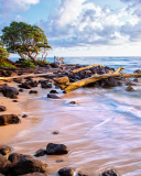 Fondo de pantalla Sea shore and sky 128x160