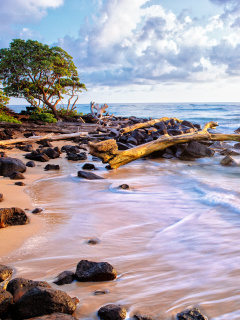 Fondo de pantalla Sea shore and sky 240x320