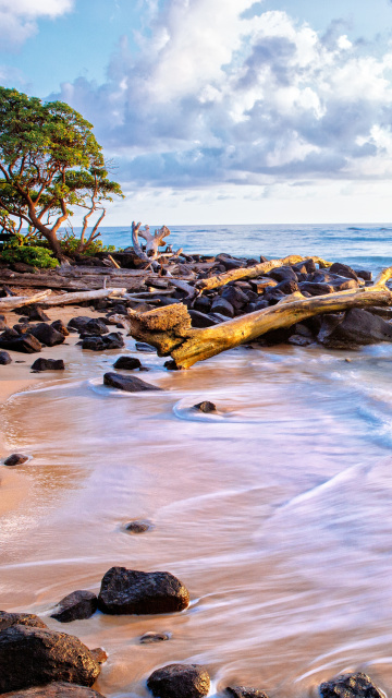 Sea shore and sky screenshot #1 360x640