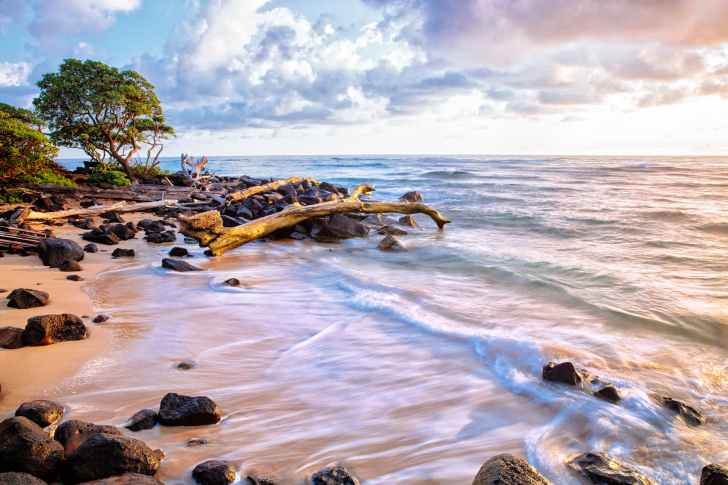 Обои Sea shore and sky