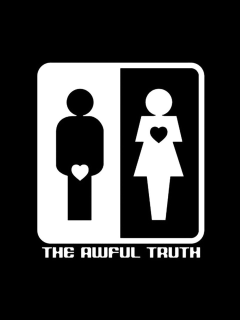 Das Awful Truth Wallpaper 480x640