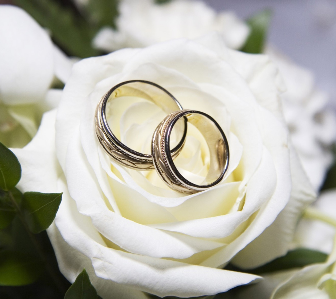 Обои Wedding Rings And White Rose 1080x960