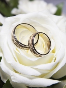 Wedding Rings And White Rose wallpaper 132x176