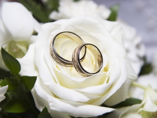 Sfondi Wedding Rings And White Rose 320x240