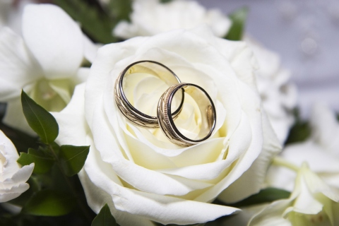Sfondi Wedding Rings And White Rose 480x320