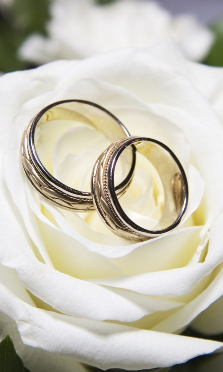 Fondo de pantalla Wedding Rings And White Rose 768x1280