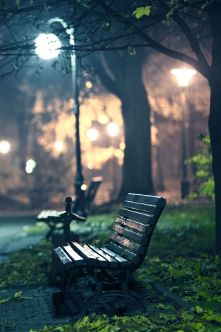 Das Romantic Evening Wallpaper 320x480