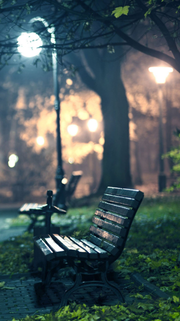 Romantic Evening wallpaper 360x640