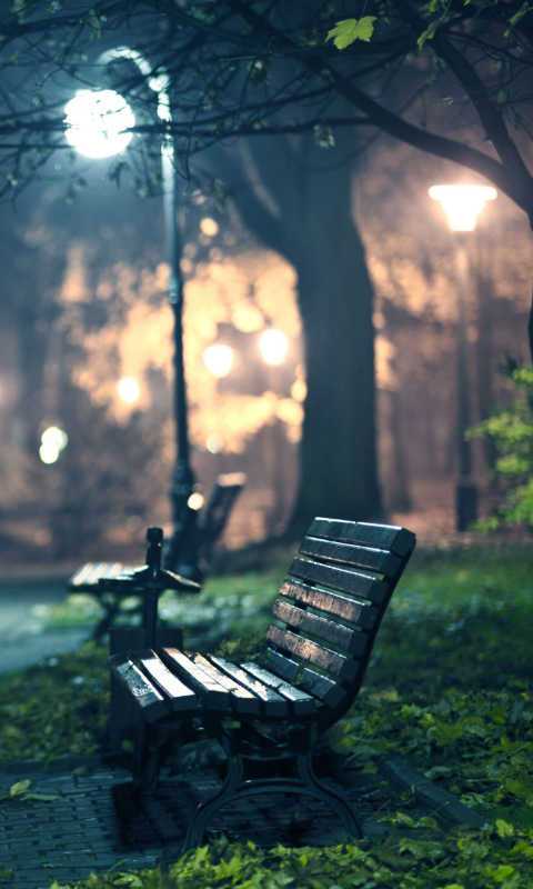 Romantic Evening screenshot #1 480x800