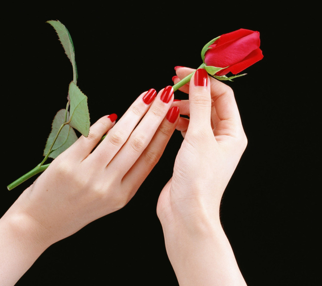 Обои Flowers Hands Roses 1080x960