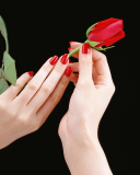 Обои Flowers Hands Roses 128x160