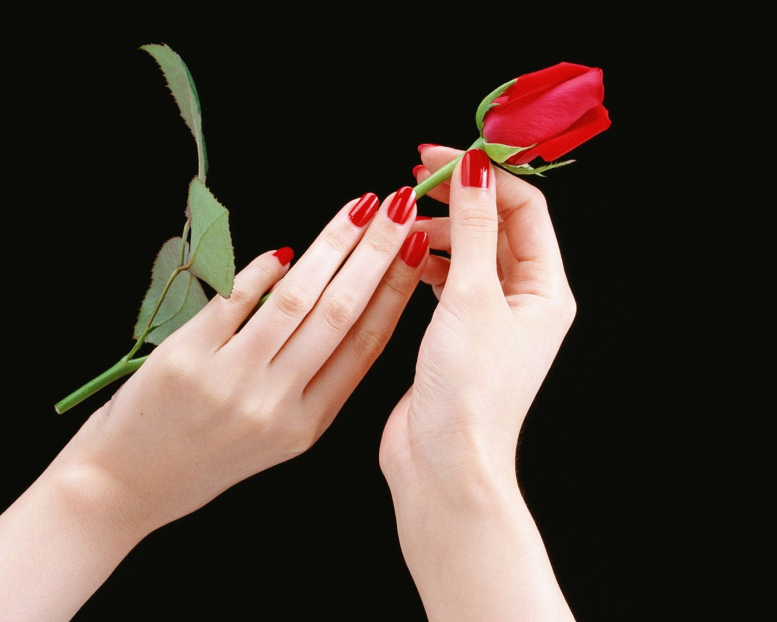 Обои Flowers Hands Roses 1600x1280