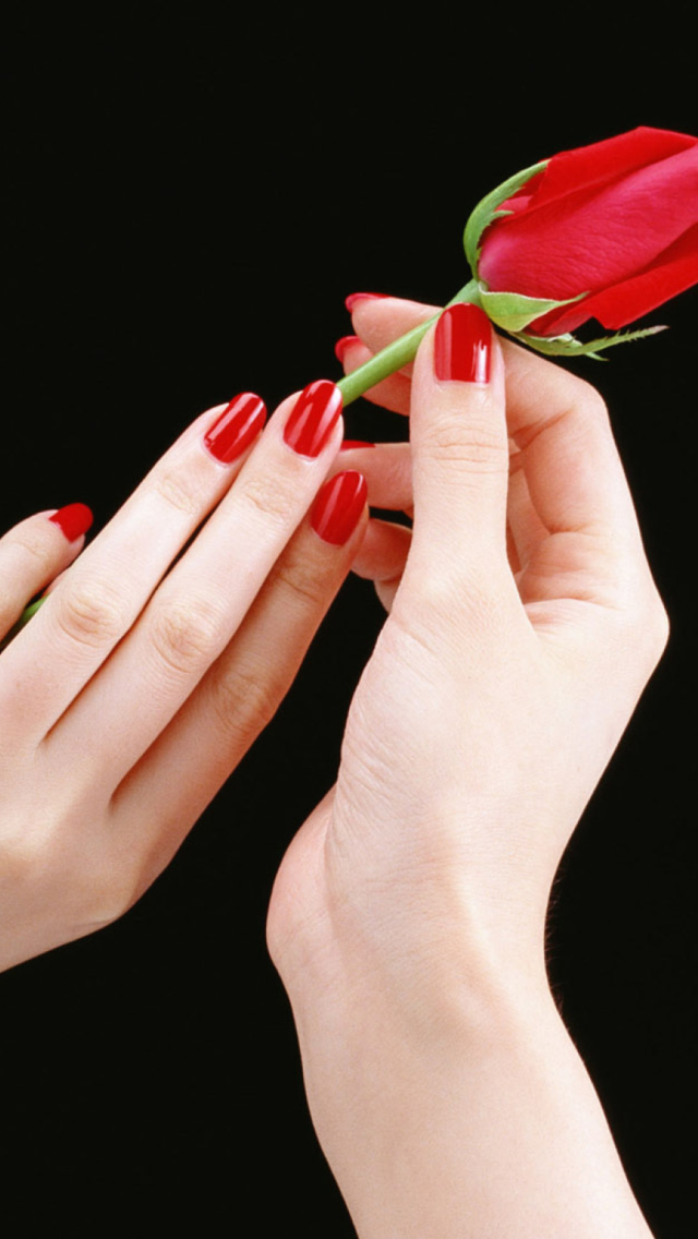 Обои Flowers Hands Roses 640x1136