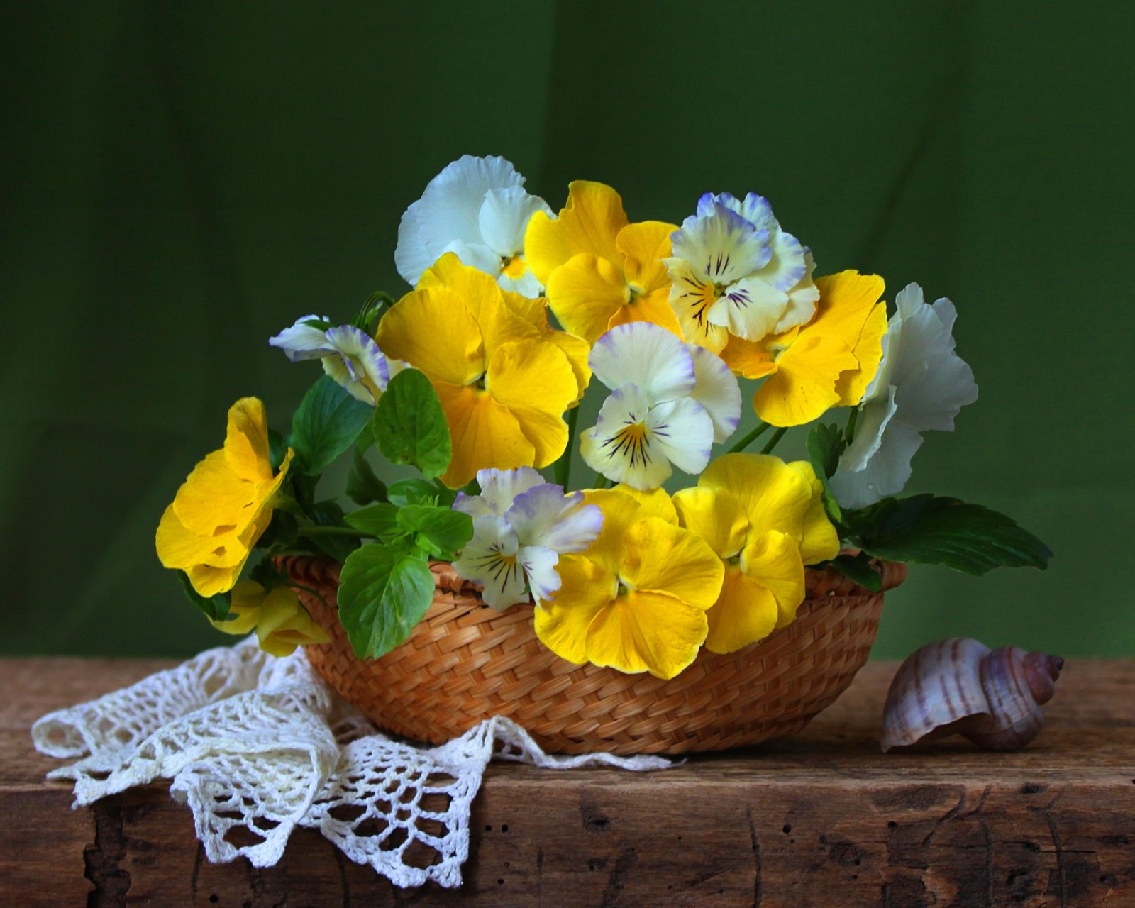 Violets In The Garden wallpaper 1600x1280