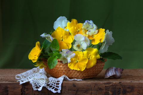 Violets In The Garden wallpaper 480x320