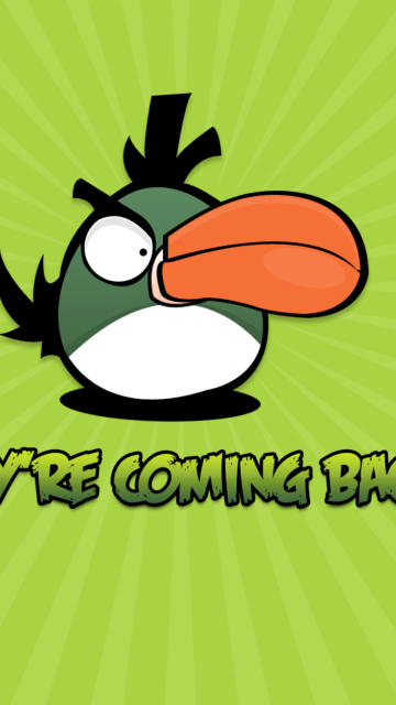 Das Angrybird Green Wallpaper 360x640