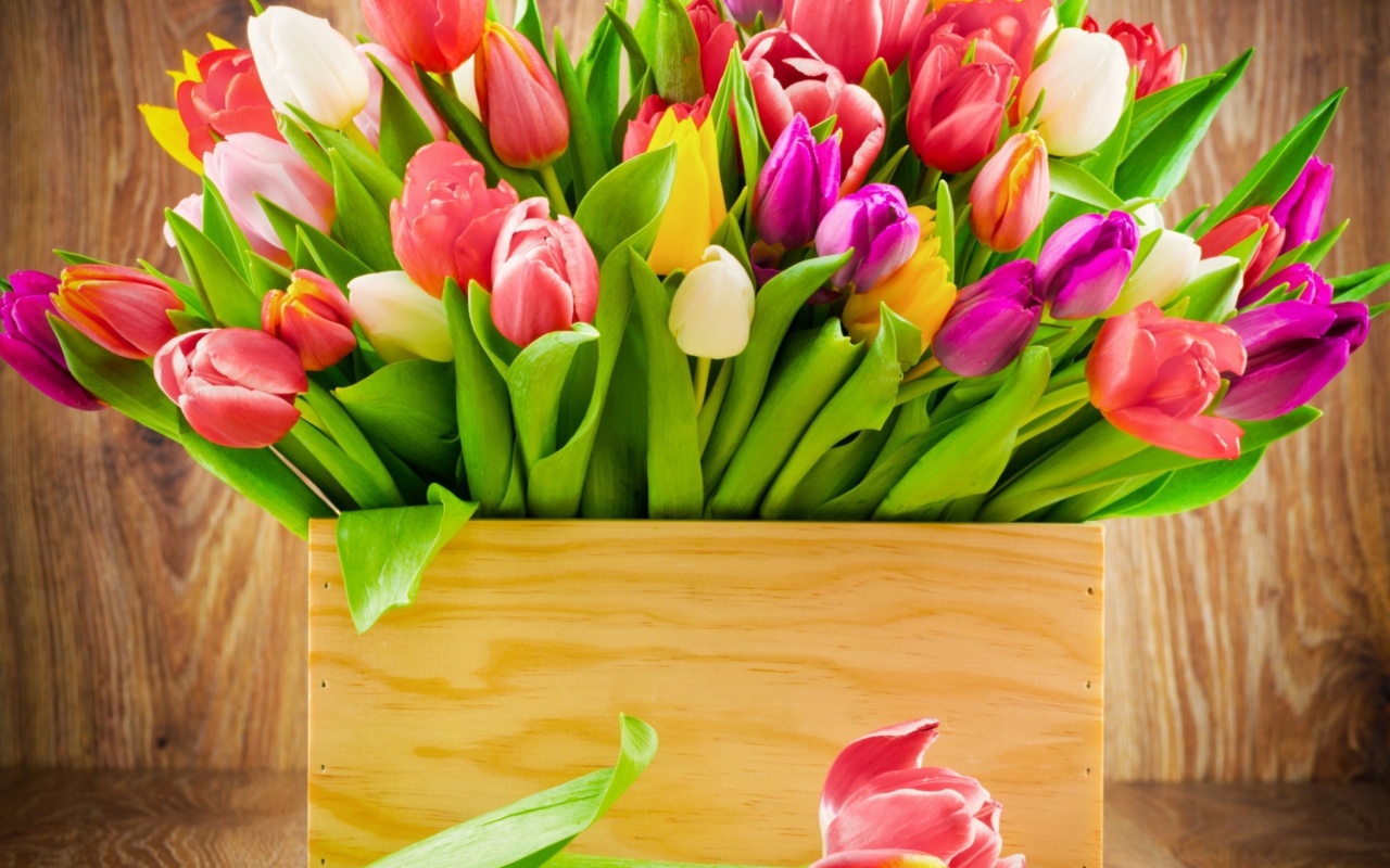 Das Bunch of tulips Wallpaper 1280x800