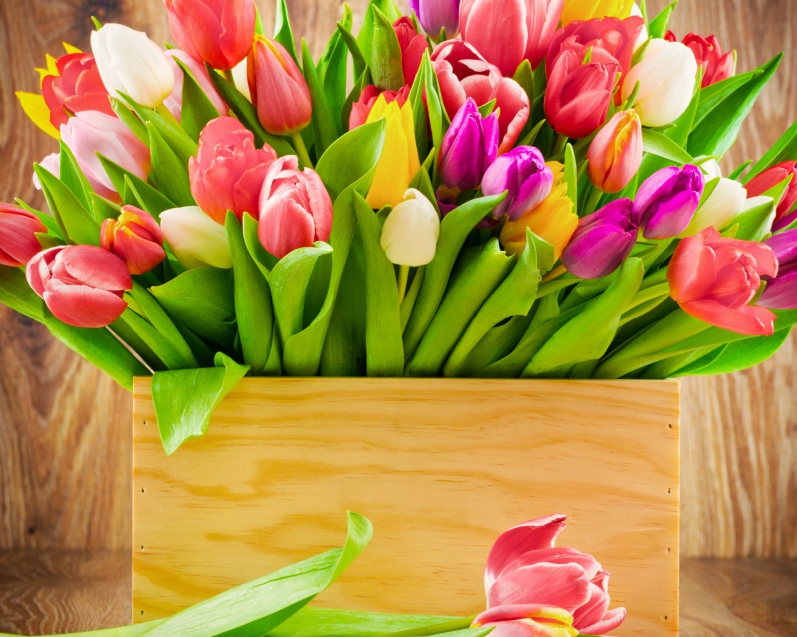 Bunch of tulips wallpaper 1600x1280