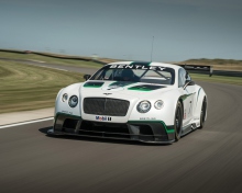 Bentley Continental GT3 R screenshot #1 220x176