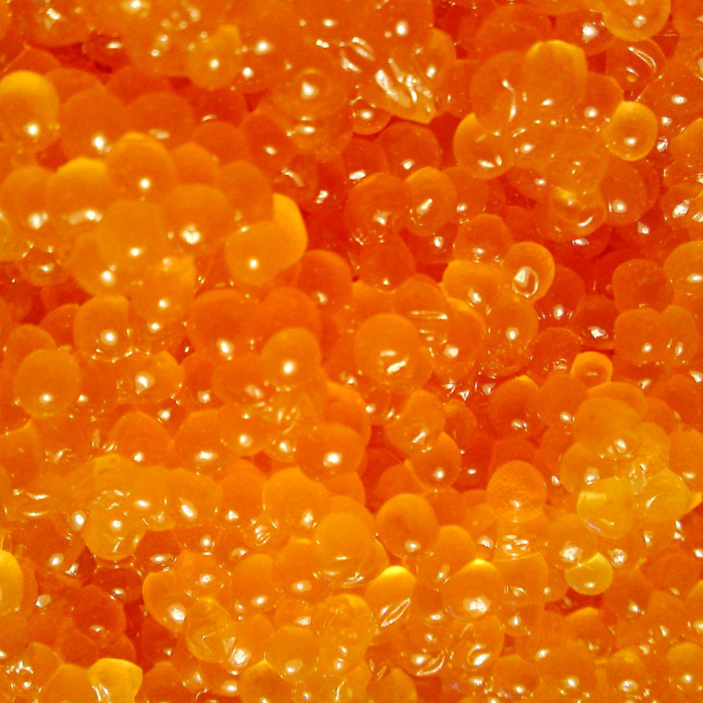 Caviar wallpaper 1024x1024