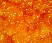 Das Caviar Wallpaper 176x144